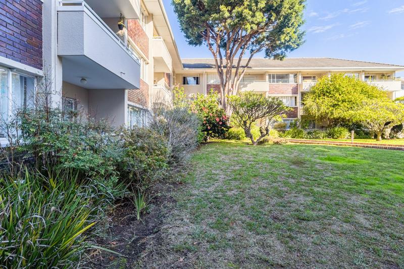 To Let 3 Bedroom Property for Rent in Rondebosch Western Cape